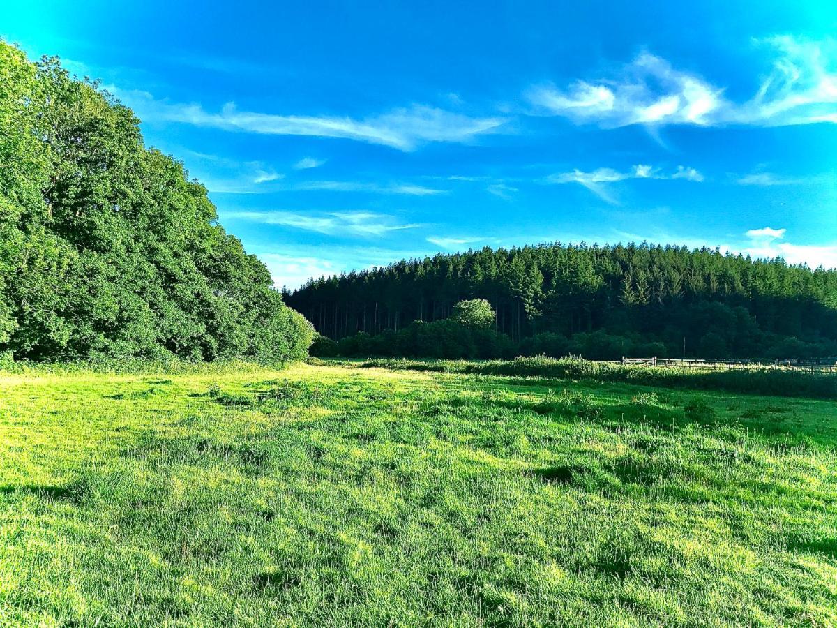 Вілла Roosters Retreat Лонсестон Екстер'єр фото